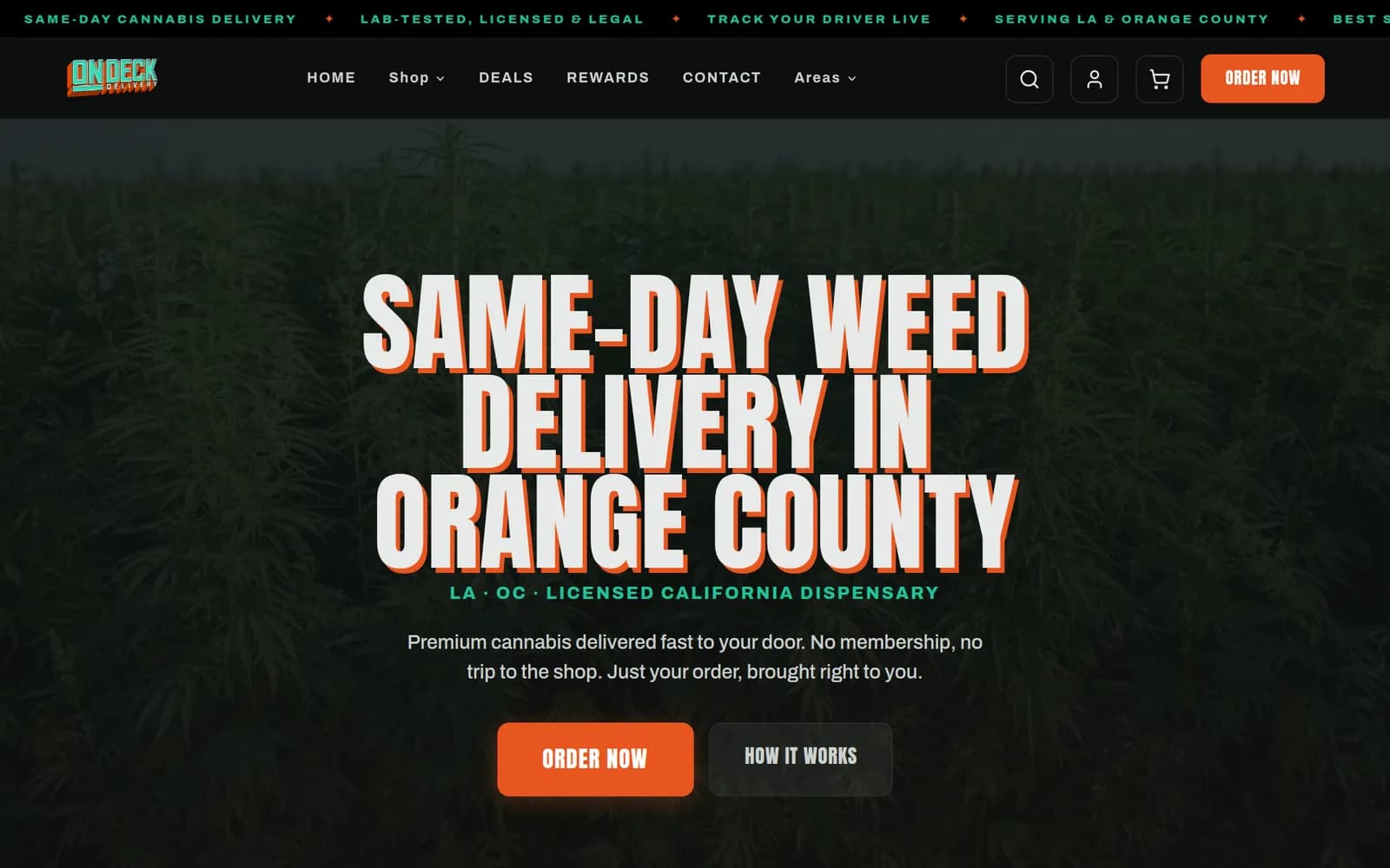 On Deck Delivery homepage: same-day delivery headline, navigation and order button